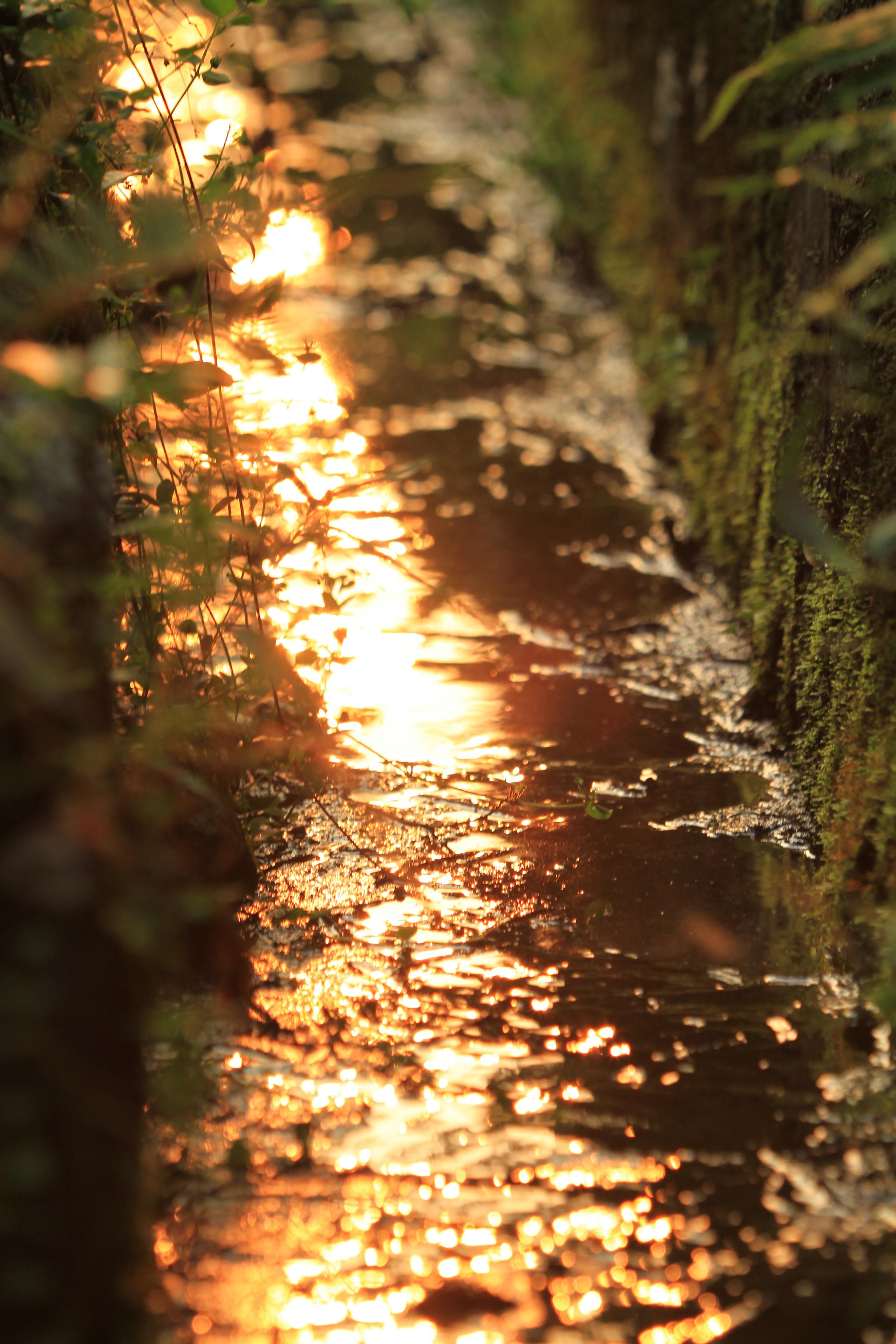 Drainage Services